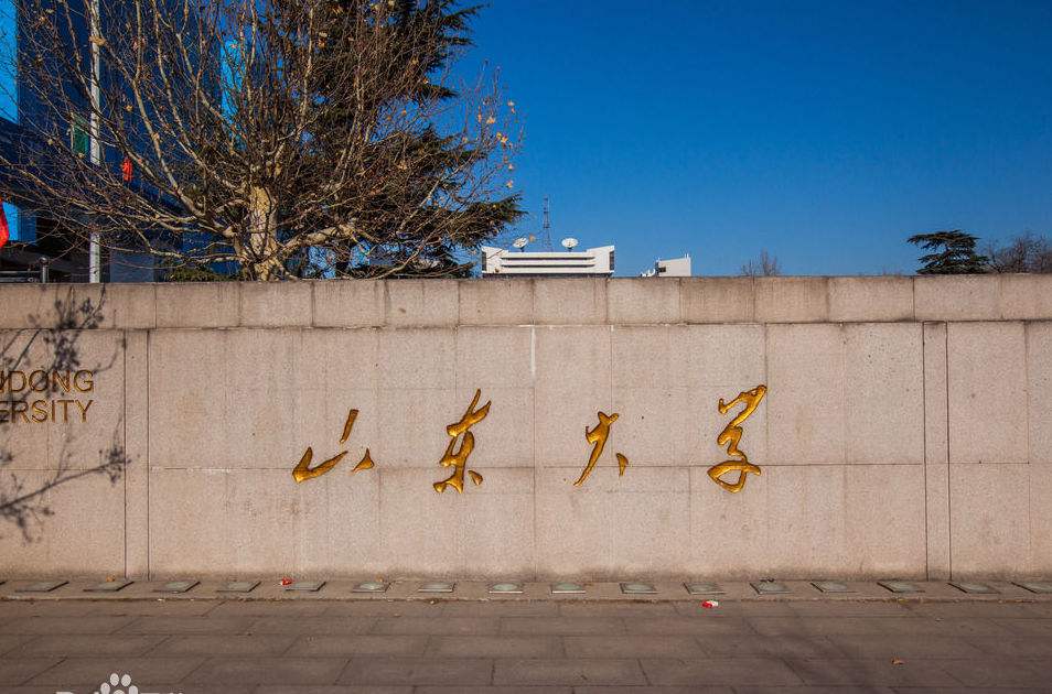 山東大學
